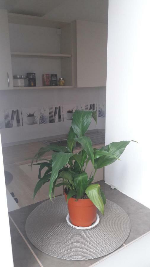 Melody Apartment Alba Iulia Bagian luar foto